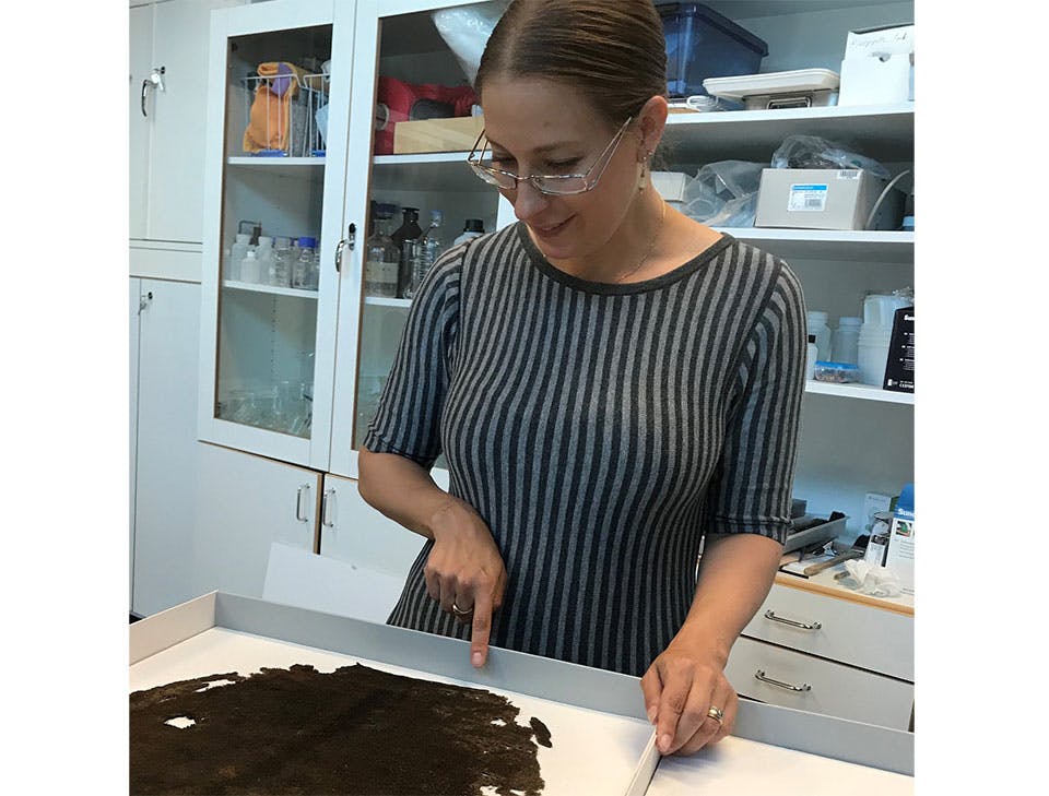 vasa textil anna silwerulv